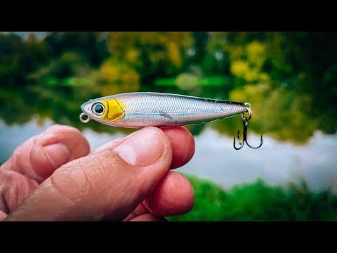 Видео: КИТАЙСКИЙ волкер ПОРАДОВАЛ на ЗАКРЫТИИ СЕЗОНА