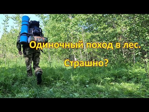 Видео: Одиночный поход в лес. Страшно? / A single hike in the forest. Scared? 4K GoPro 11