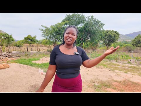 Видео: Мы огородили ферму площадью 6 гектаров ||Цена на цемент выросла+GardenTour