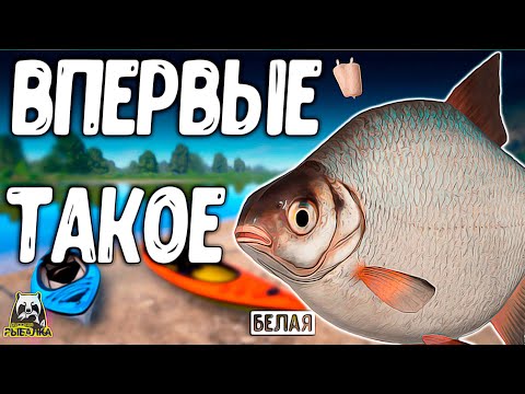 Видео: RF4 У НАС ТАКОЕ ВПЕРВЫЕ, И ВОТ ЧТО ВЫШЛО ИЗ ЭТОГО #рр4