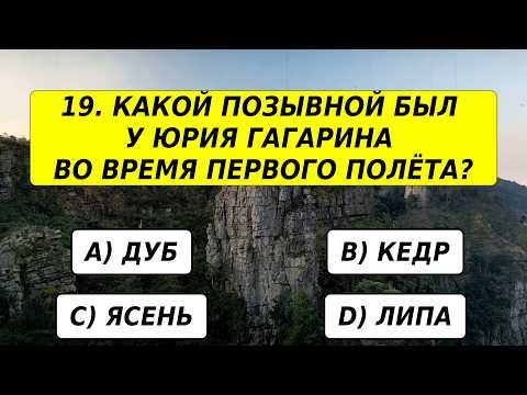 Видео: Насколько ваш интеллект соответствует вашему возрасту? Проверьте себя в этом тесте на эрудицию! 🧠💡