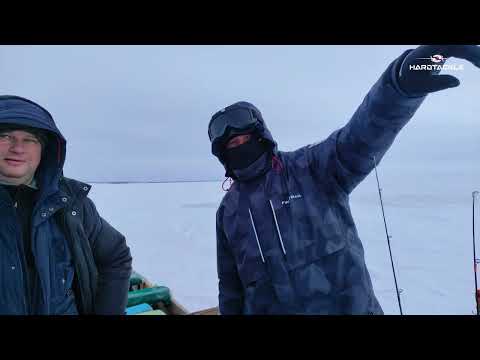 Видео: КАМСКОЕ УСТЬЕ. ЛОВЛЯ СУДАКА НА РАТЛИНЫ UTSURI LEX MAKA 110.