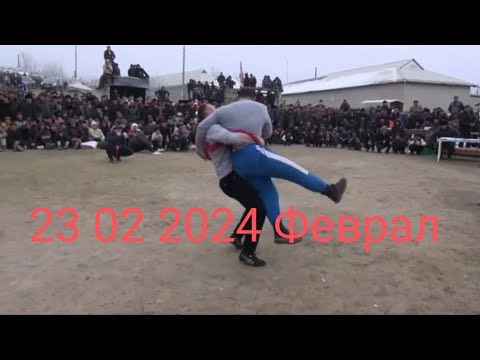 Видео: Чорбог кураш 23 02 2024