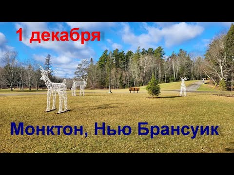 Видео: 1 декабря в Монктоне. Отвечаю на вопросы. Нью Брансуик. Канада 2022.