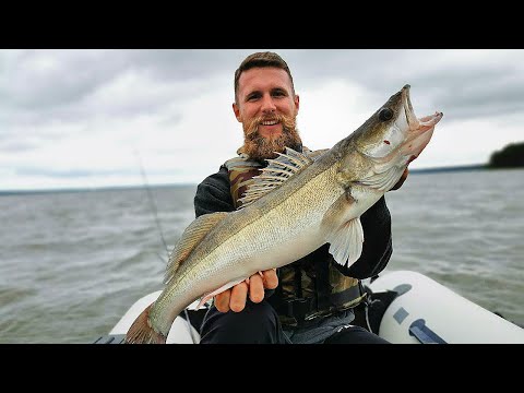 Видео: КОГДА БРЕВНО ОЖИЛО Я ОХРЕНЕЛ!!! РЫБАЛКА НА ВИЛЕЙСКОМ ВОДОХРАНИЛИЩЕ!