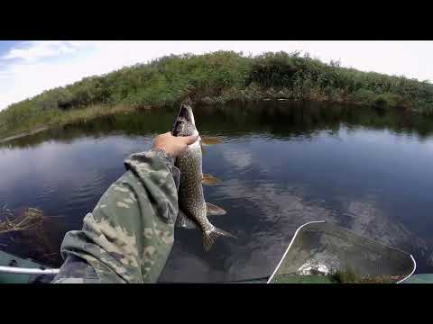 Видео: р.Сарысу. "было весело"
