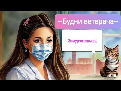 Видео: Будни ветврача🩺 Мейн-кунов много не бывает! 😻