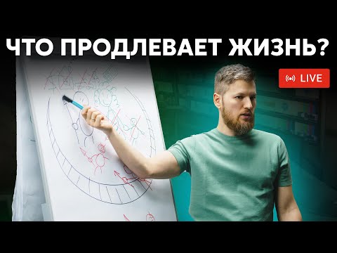 Видео: Что продлевает жизнь? Нужно всего лишь...