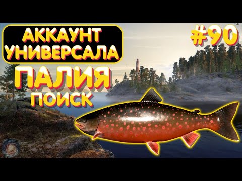 Видео: Аккаунт универсала #90 | Поиск Палии | оз. Ладожское | Русская Рыбалка 4