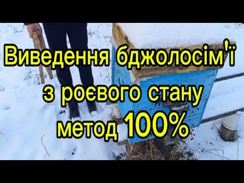 Видео: Наліт на матку, 100% протироєвий метод.