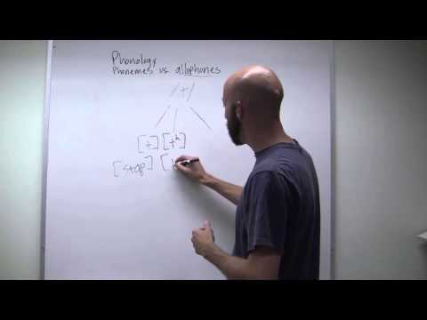 Видео: Фонемы и аллофоны