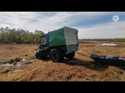 Видео: Весновка 2021 каракат в деле