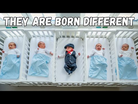 Видео: Тайна сигма-самцов: рождаются ли они другими или выкованы миром?