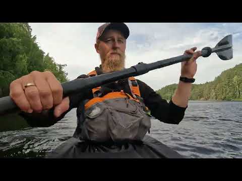 Видео: 2 ноября 2025 г.