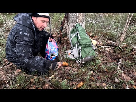 Видео: Добыл дичь! Неожиданная находка в глухой тайге!