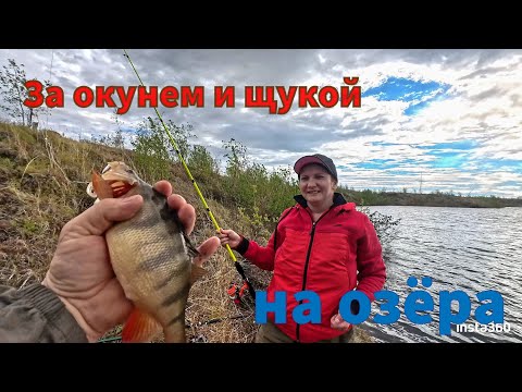 Видео: Окуня и Щуки на озерах за рекой Рыбная