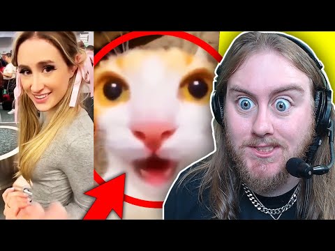 Видео: СМЕШНЫЕ МЕМЫ, КОТОРЫЕ ЗАСТАВЯТ ВАС СМЕЯТЬСЯ