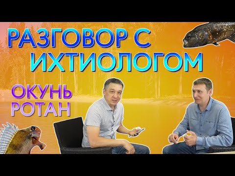 Видео: Вопросы ихтиологу. Часть 3. Отвечаем на вопросы про таких рыб как окунь и ротан