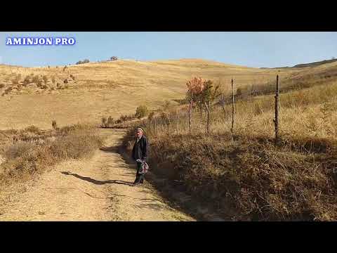 Видео: Дехаи САТАЛМШ, Г-УЛАКИЗАРИН, ОЛИЧАДАРА, ОБИДАРАИ ЧАНОР. Табиати зебо