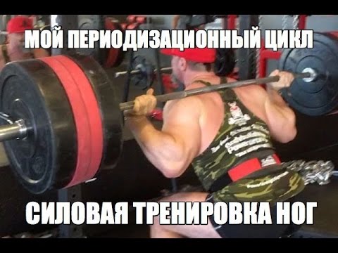 Видео: СИЛОВАЯ ТРЕНИРОВКА НОГ в Моем ПЕРИОДИЗАЦИОННОМ ЦИКЛЕ
