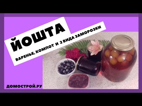 Видео: ЙОШТА. ЗАГОТОВКА НА ЗИМУ. #йошта #консервация #назиму #йоштаназиму