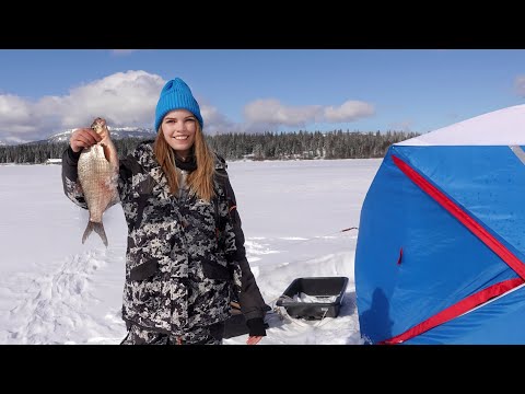 Видео: РЫБАЛКА В КРАСИВЕЙШЕМ МЕСТЕ! Борюсь с ветром и достаю рыб из-подо льда.