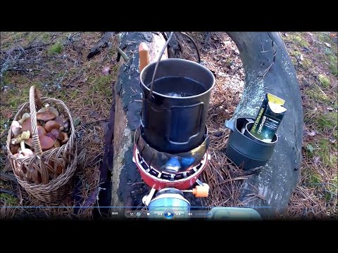 Видео: ПОХОД В ЛЕС. Обед в сосновом бору. Собрали два ведра грибов в ноябре! Беларусь 2023.
