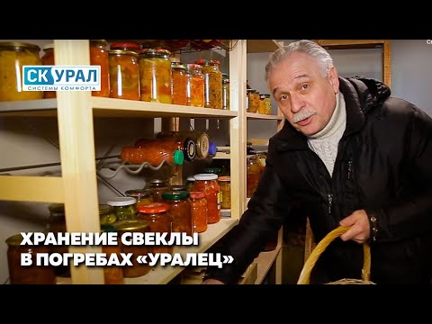 Видео: Хранение свеклы в погребе "Уралец"