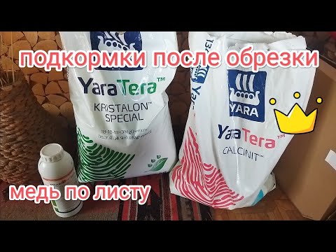Видео: Первая подкормка после обрезки клубники, медь по листу, yara tera 18-18-18 или кальценит