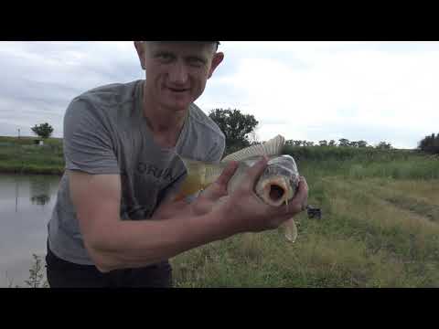 Видео: Рыбалка ! Зеркальный карп , сазан на микро пруду !!