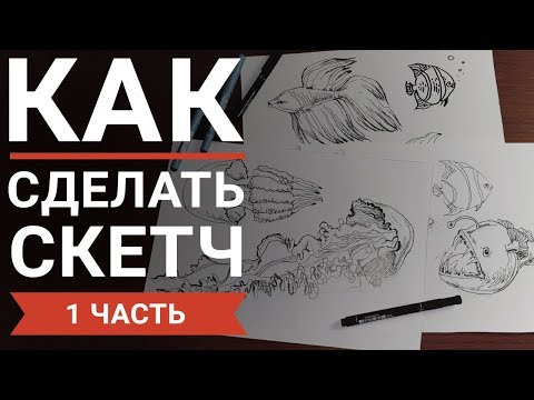 Видео: Как научиться делать скетчи (1 часть)