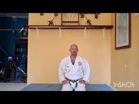 Видео: Челлендж "108 дней Тайкеку". День 4. Столб и кихон.