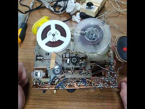 Видео: 12 декабря 2024 г.