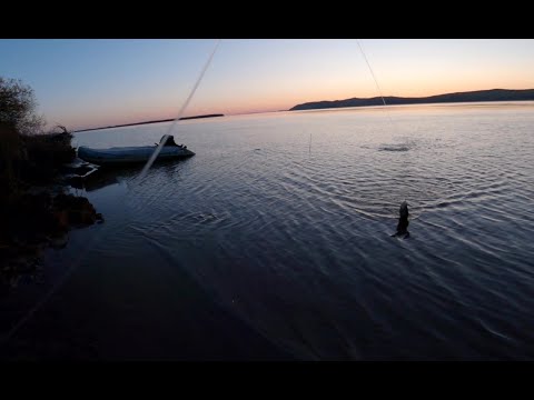 Видео: Осень 2023. Первый выезд на резинку. Куда делась рыба? ( часть 2 )