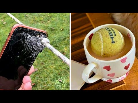 Видео: Фото, которые тебя удивят (104 часть)