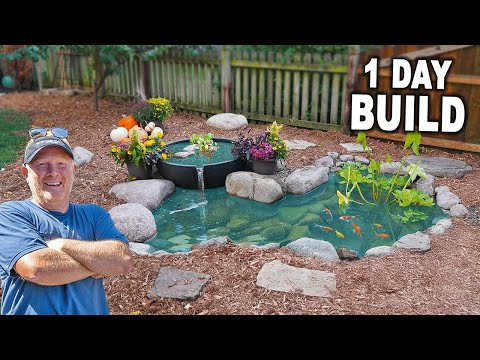 Видео: Маленький пруд. БОЛЬШОЕ влияние. Как маленький пруд меняет все!