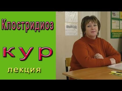 Видео: Клостридиоз у кур как и чем лечить