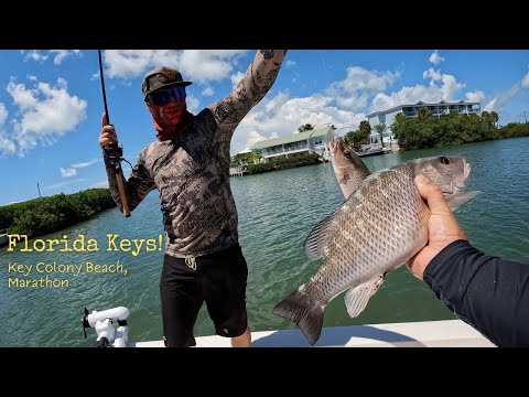 Видео: Ловля снэппера на Флорида-Кис! Рыбалка на пляже Колони-Ки в Марафоне!