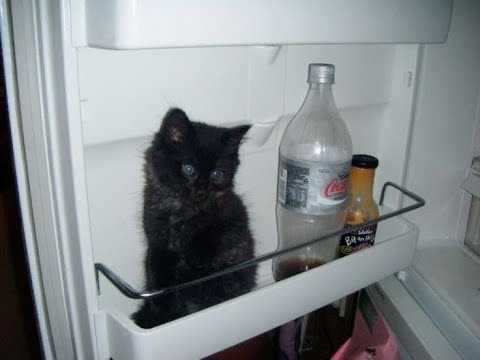 Видео: free ♫ cupsize + indie rock type beat "я стану популярным в интернете" [prod. не мой тезис.]