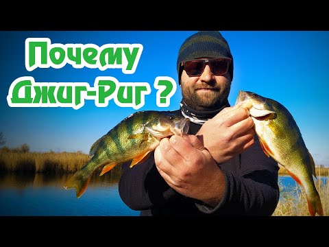 Видео: Почему Джиг- Риг? / Большие окуни / Ловля окуня на Джиг Риг / Монтаж Джиг Риг / Ловля на Спиннинг /