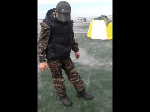 Видео: Рыбалка на Кызылке В.К.О.