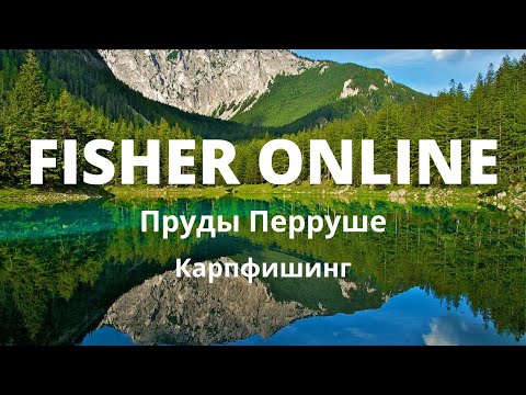 Видео: Fisher Online / Пруды Перруше / Карп золотой, амур чёрный, толстолоб пёстрый