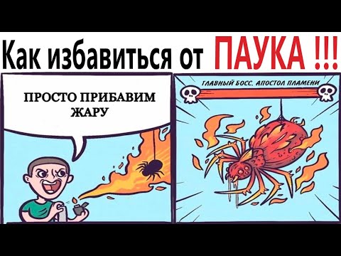 Видео: ПРИКОЛЫ! КАК ИЗБАВИТЬСЯ ОТ ПАУКА!!! Угарные МЕМЫ, смешные истории от Доми шоу