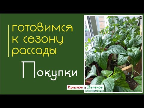 Видео: Готовимся к сезону рассады. Покупки