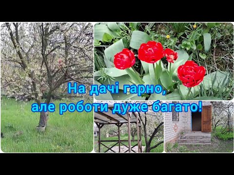 Видео: НАША ДАЧА навесні.Роботи багато!🌾🌷🍀#дачазнуля#дачанавесні#дача#сад#квіти#квітник#город#насіння#весна