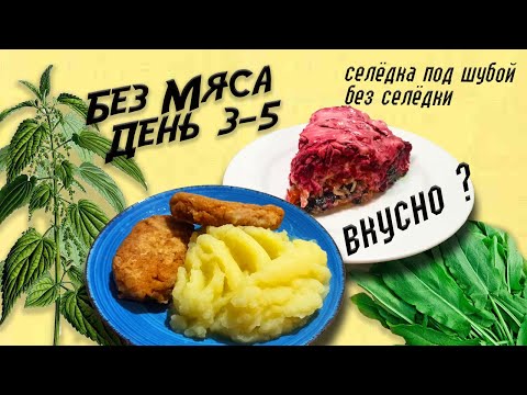 Видео: Сколько продержится мясоед без мяса. День 3-5.