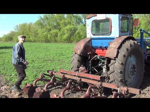 Видео: посадили три сотки картошки за 30 тыс, трактор т-40 на огороде