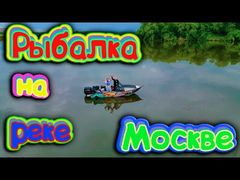 Видео: ловля судака на джиг на Москве реке в Лыткарино лето 2023