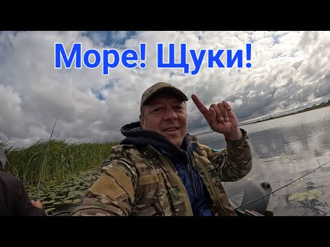 Видео: Ишим!!!! Нет!!!! Но Рядом!!!! Там Очень Много Щуки!!!! Кое Как Увез Рыбу!!! Бедная Моя Лодка!!!!