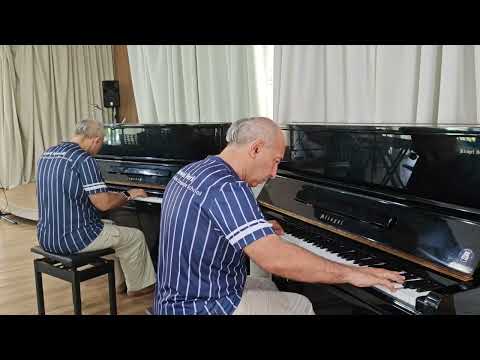 Видео: Музыкальная фантазия от Виктора Платкова номер 48